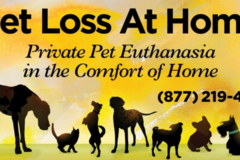 Request Quote: Pet Loss at Home - Dr. Carol - In Home Pet Euthanasia - Houston, TX