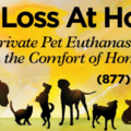 Pet Loss at Home - Sarasota In-Home Pet Euthanasia  - Sarasota, FL