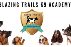 Request Quote: Blazing Trails K9 - In Home Dog Training - Duchesne, UT