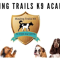 Blazing Trails K9 - In Home Dog Training - Duchesne, UT