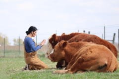 Request Quote: Little Lotus - Animal Reiki Therapy and Animal Communication - Nationwide