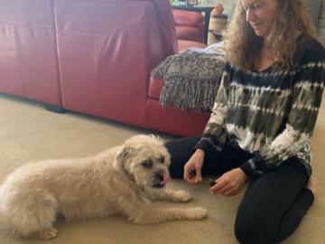 Piper enjoying a holistic animal healing