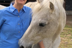 Request Quote: Sandra Burnett, BEMER Distributor, Equine Physical Therapy - Raleigh, NC