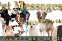 Request Quote: Animal Communication and Healing - Phoenix, AZ