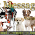 Animal Communication and Healing - Nationwide