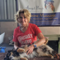 Angel Paws Animal Massage Therapy - Jupiter, FL