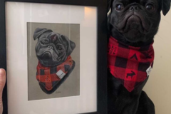 Request Quote: Hand Drawn Colored Pencil Pet Portrait Artist  - Nationwide