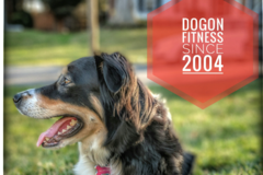 Request Quote: DogOn Fitness  - Reston, VA - Arlington, VA