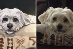 Request Quote: Art By Ginny - Pet Portrait Artist - Nationwide