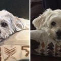 Art By Ginny - Pet Portrait Artist - Nationwide