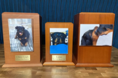 Request Quote: Blue Creek Pet Cremation  - San Francisco Bay Area, CA