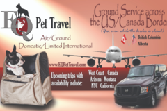 Request Quote: EQ Pet Travel - Pet Transportation Service   - Nationwide
