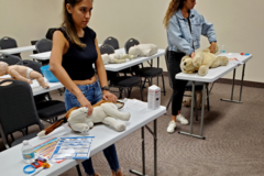 Request Quote: Pet CPR and First Aid Class - West Palm Beach, FL - Nationwide