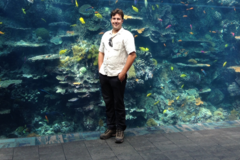 Request Quote: My Fish Tank Man -  Aquarium Services - Phoenix, AZ