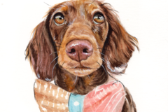 Request Quote: Watercolor Pet Portraits - Nationwide