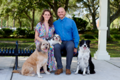 Request Quote: Synchrony Chiropractic - Pet Chiropractic Care - Ocala, FL
