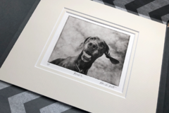 Request Quote: Handmade Etched Pet Portrait From Your Photo   - Nationwide