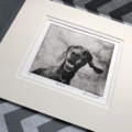Handmade Etched Pet Portrait From Your Photo   - Nationwide