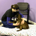 Paws in Harmony - Canine Bodywork and Fitness Training - Marion, NY