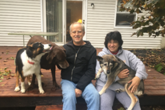 Request Quote: Fetch! Pet Care - Pet Sitting Services - Ann Arbor, MI