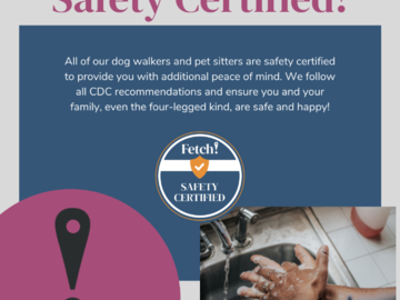 Safety Certification