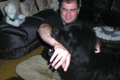 Request Quote: Alex Himel Certified Dog Trainer - Port Washington, NY