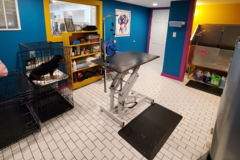 Request Quote: Barks Pet Parlor - Pet Grooming Service - Coleman, TX