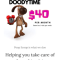 Doodytime - Pet Waste Removal Services - Columbus, OH