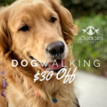 Golden Days - Private Dog Walking and Sitting Service - Tustin, CA