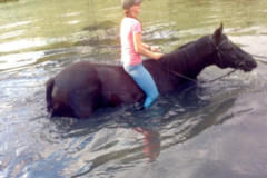 Request Quote: Home, Farm, and Pet Sitting Service - Lewisburg, WV