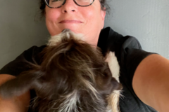 Request Quote: Critter Sitters Pet Care - Pet Sitting and Dog Walking  - Chicago, IL
