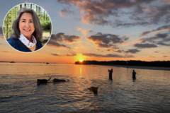 Request Quote: Nita Your Animal Communicator - Nationwide