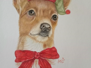 Christmas Chihuahua