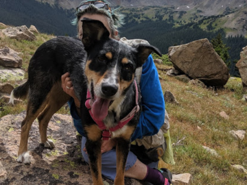 Blossom photo bomb while hiking the Continental Divide Trail
