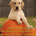 J&K’s In Home Pet Sitting Service  - Millers, MD