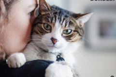 Request Quote: Fetch! Pet Care - in Home Pet Sitting Services - Tucson, AZ