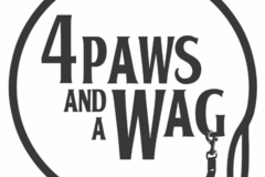 Request Quote: In Home Dog Sitter - 4PAWS and a WAG Sitting - Bellevue, WA