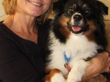 Angel, my aussie that inspired me to help dogs feel better with arthritis