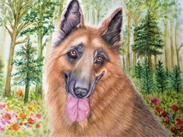 German Shepherd with watercolor background 