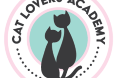 Request Quote: Cat Lovers' Academy - Cat Training - Bothell, WA