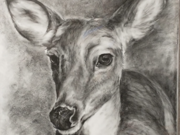 Charcoal whitetail deer