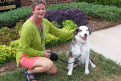 Request Quote: Sanford Cat and Canary Pet Sitting - Sanford, NC