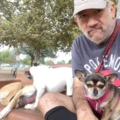 Jaime Rovero - Professional Dog Trainer - Van Nuys, CA