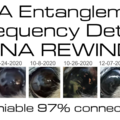 Discover the Future Frequency Detox for Pet DNA Rewind  - Houston, TX - Nationwide