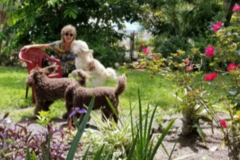 Request Quote: Naples Dog Sitting & Sanctuary llc aka Kindred Spirits - Naples, FL