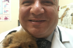 Request Quote: Pet Home Euthanasia Service - San Bernardino County, CA