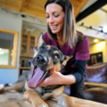 Dr. Avery Garrabrant - AVCA Certified Animal Chiropractor - Durham, NC