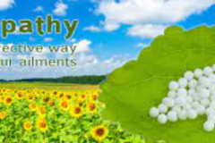 Request Quote: Henry Kostecki DVM - Homeopathic Vet  - Nationwide