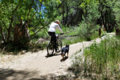 Request Quote: Prescott K9 Academy - In Home Private Dog Training - Prescott, AZ