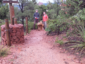 "Proofing" B&T littermates in a hike in Sedona